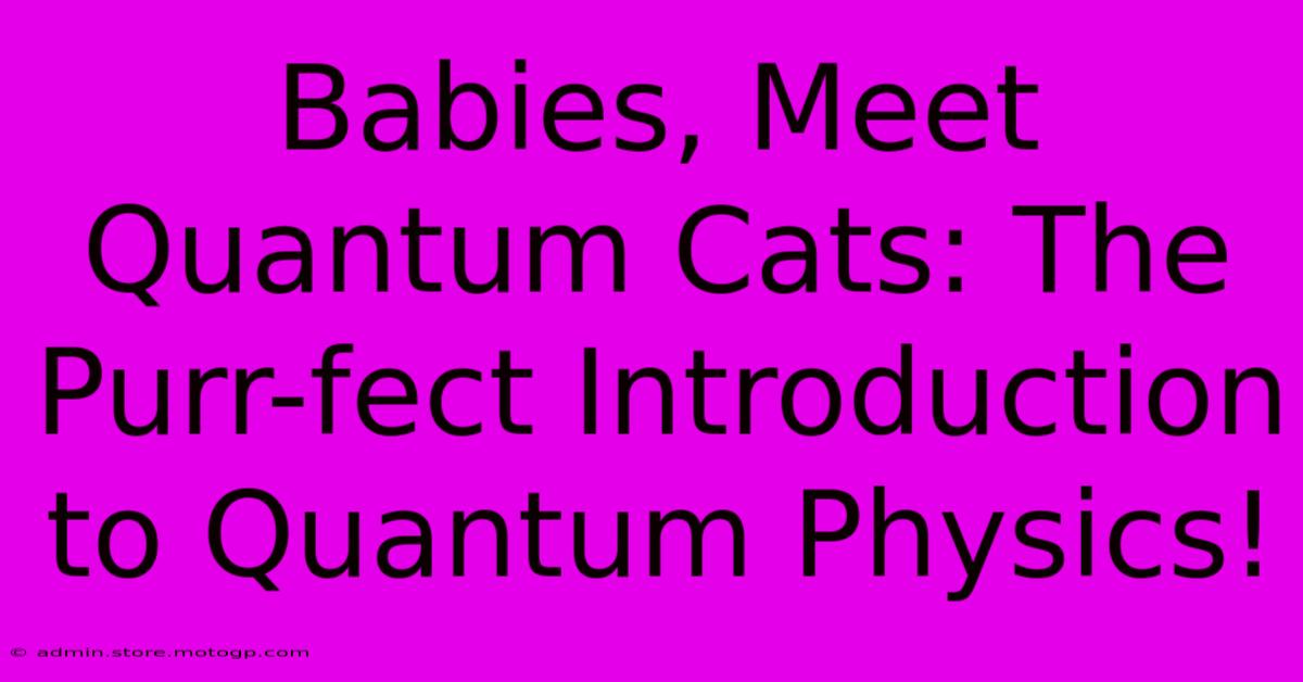 Babies, Meet Quantum Cats: The Purr-fect Introduction To Quantum Physics!