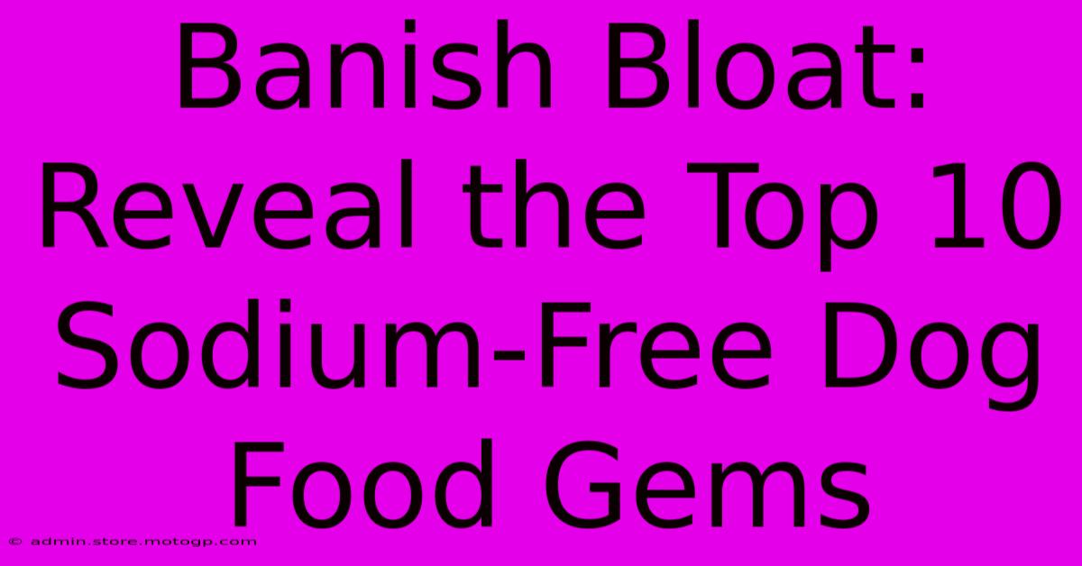 Banish Bloat: Reveal The Top 10 Sodium-Free Dog Food Gems