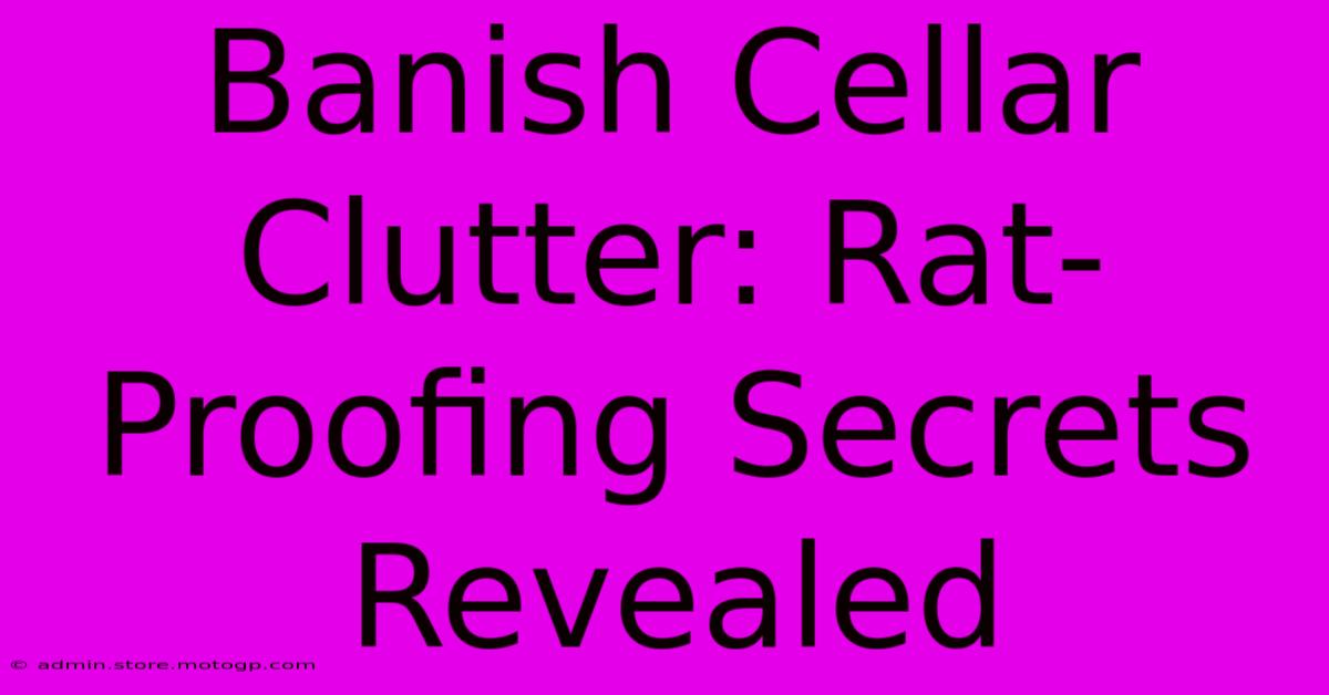 Banish Cellar Clutter: Rat-Proofing Secrets Revealed