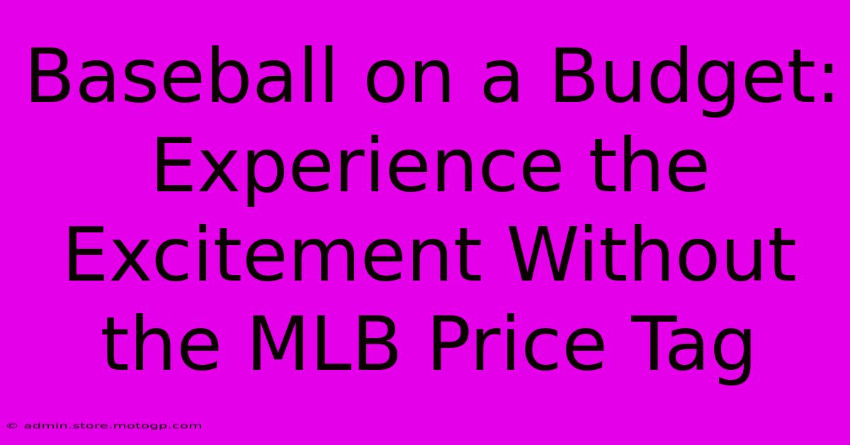 Baseball On A Budget: Experience The Excitement Without The MLB Price Tag