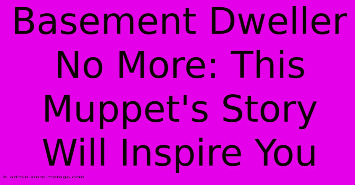 Basement Dweller No More: This Muppet's Story Will Inspire You