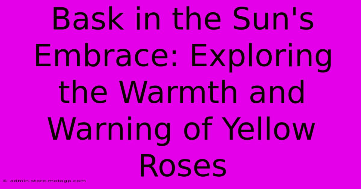 Bask In The Sun's Embrace: Exploring The Warmth And Warning Of Yellow Roses