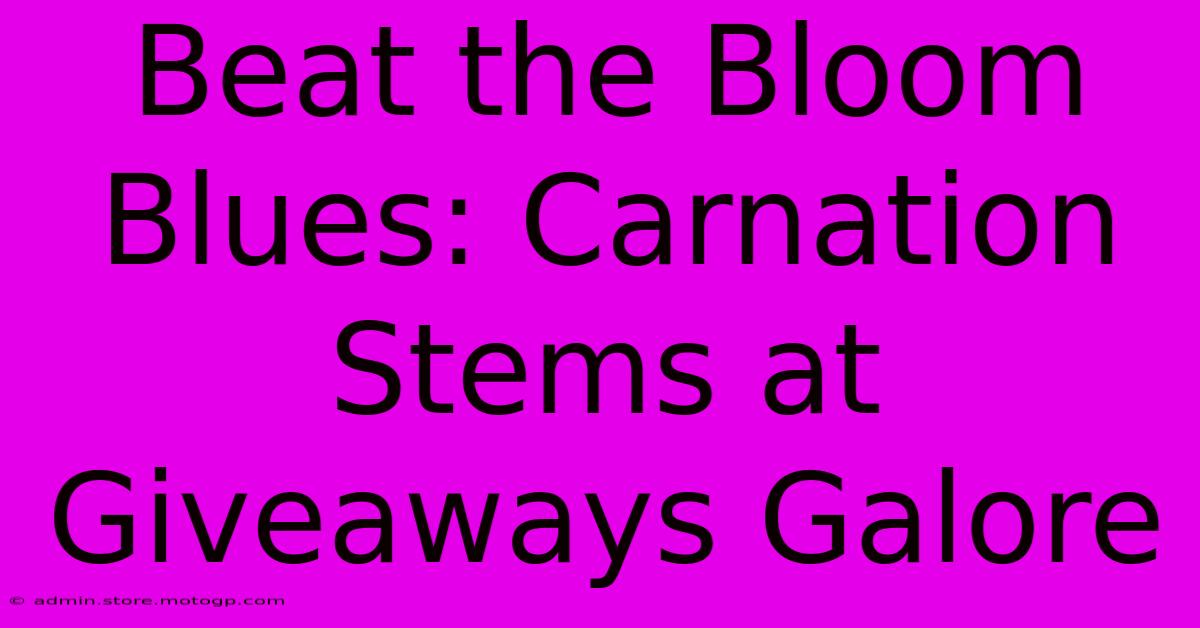 Beat The Bloom Blues: Carnation Stems At Giveaways Galore