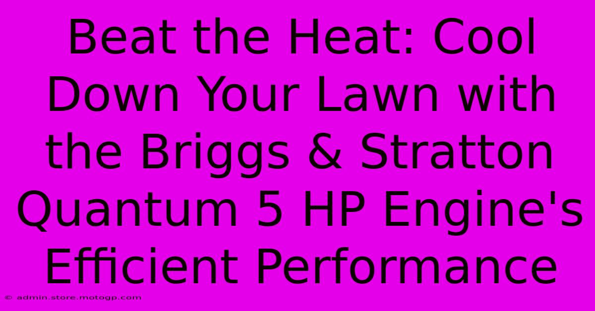 Beat The Heat: Cool Down Your Lawn With The Briggs & Stratton Quantum 5 HP Engine's Efficient Performance