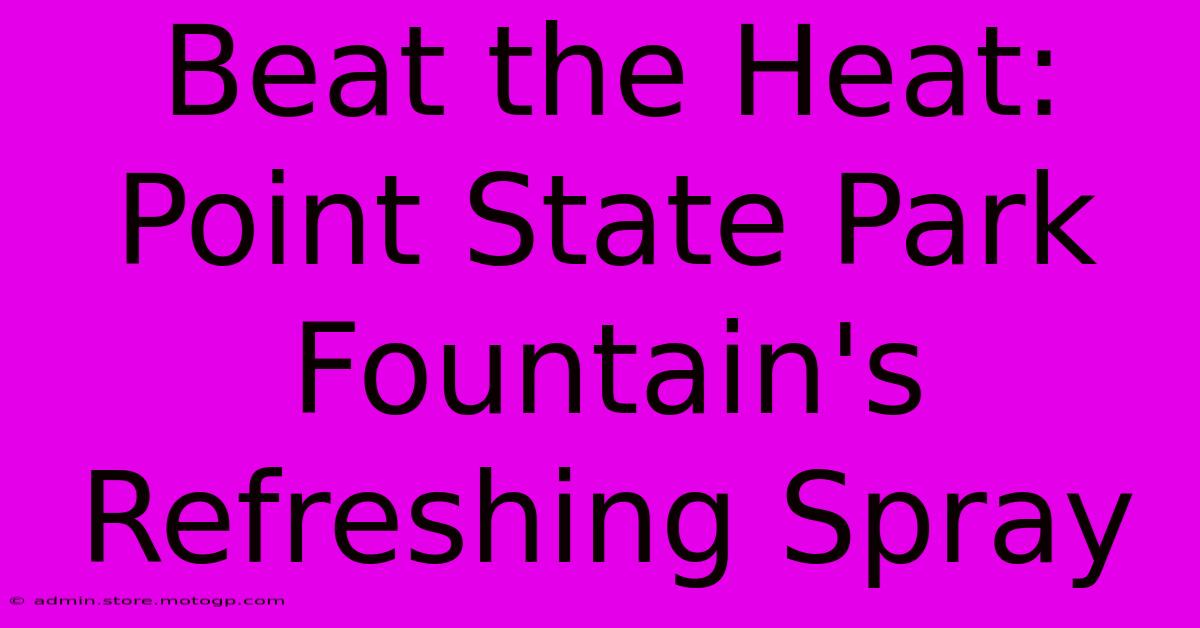 Beat The Heat: Point State Park Fountain's Refreshing Spray