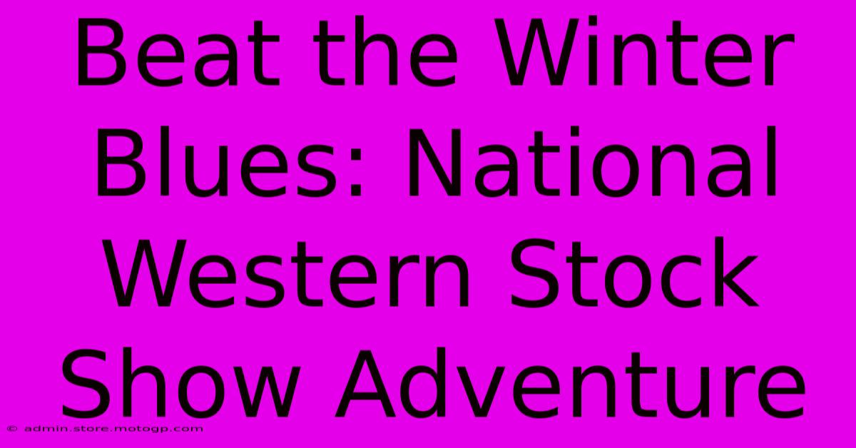 Beat The Winter Blues: National Western Stock Show Adventure