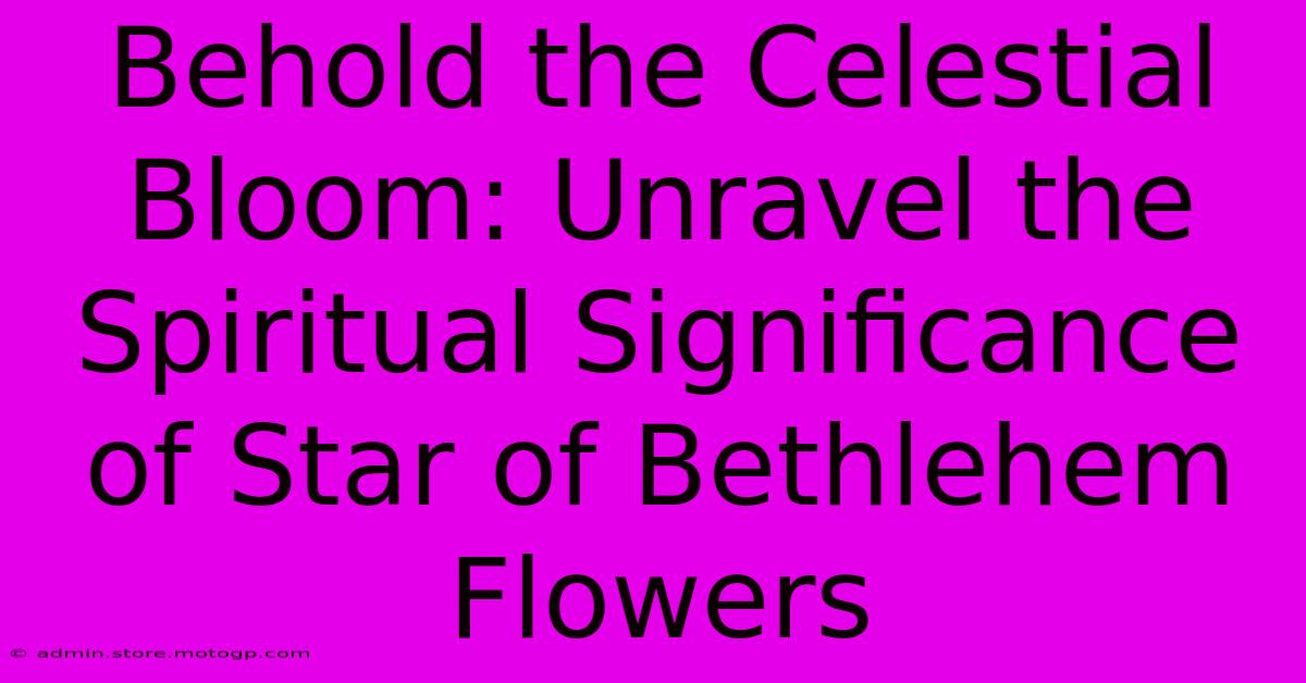 Behold The Celestial Bloom: Unravel The Spiritual Significance Of Star Of Bethlehem Flowers