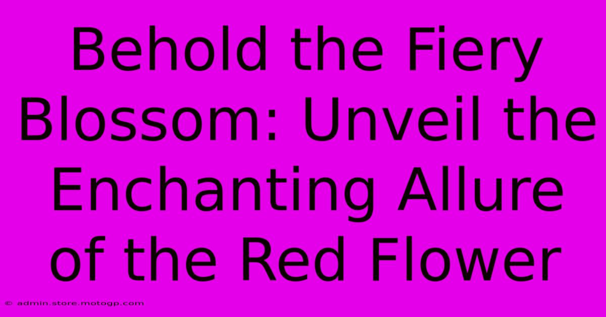 Behold The Fiery Blossom: Unveil The Enchanting Allure Of The Red Flower