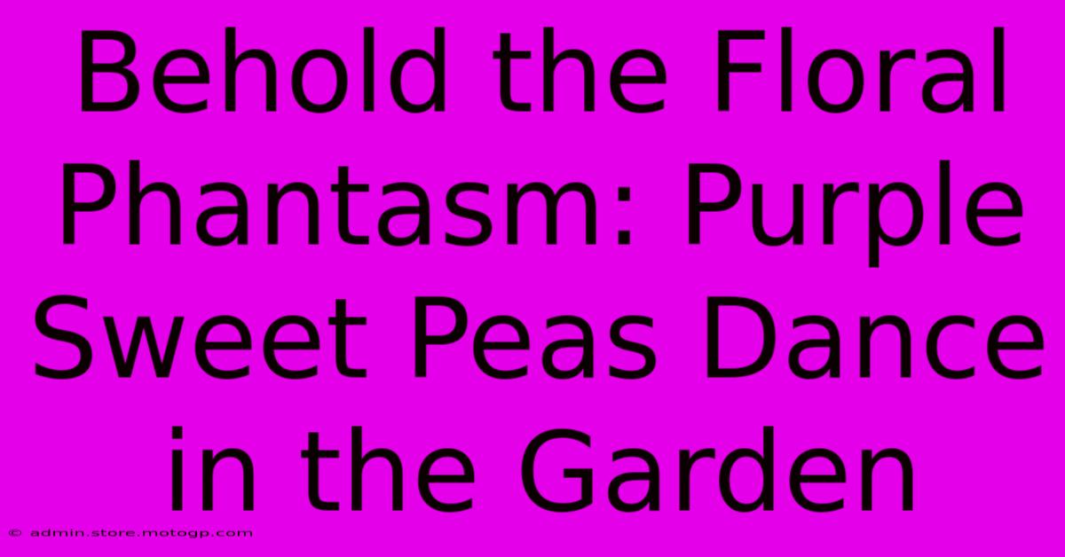 Behold The Floral Phantasm: Purple Sweet Peas Dance In The Garden