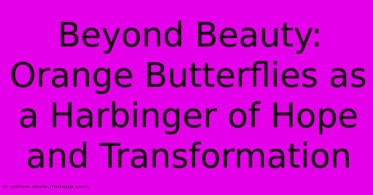 Beyond Beauty: Orange Butterflies As A Harbinger Of Hope And Transformation