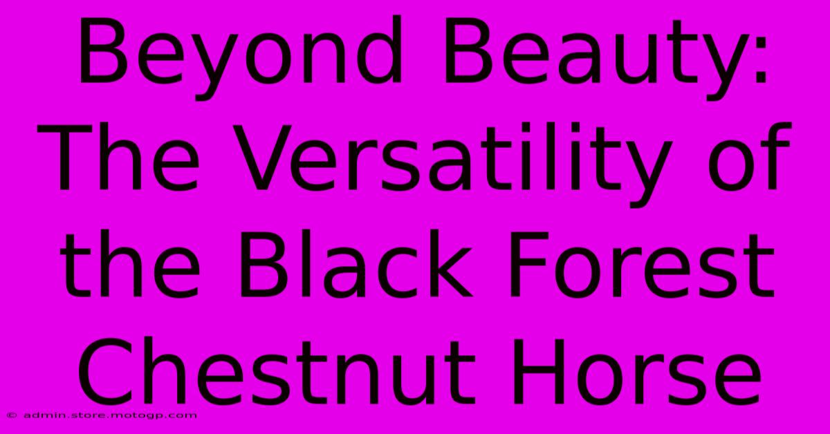 Beyond Beauty: The Versatility Of The Black Forest Chestnut Horse