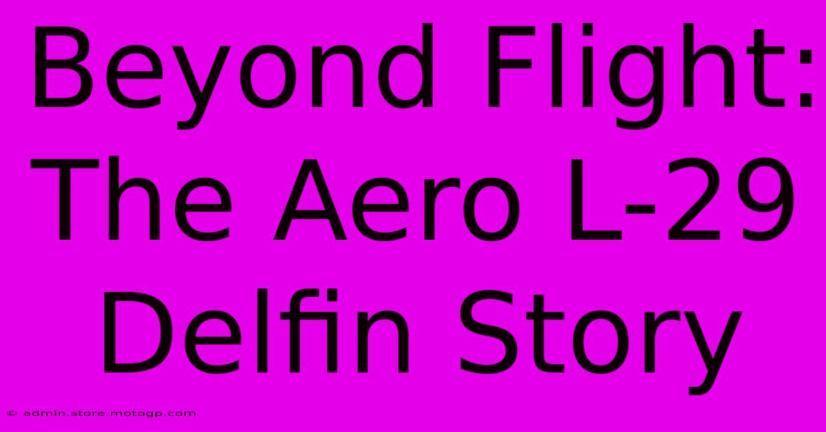 Beyond Flight: The Aero L-29 Delfin Story