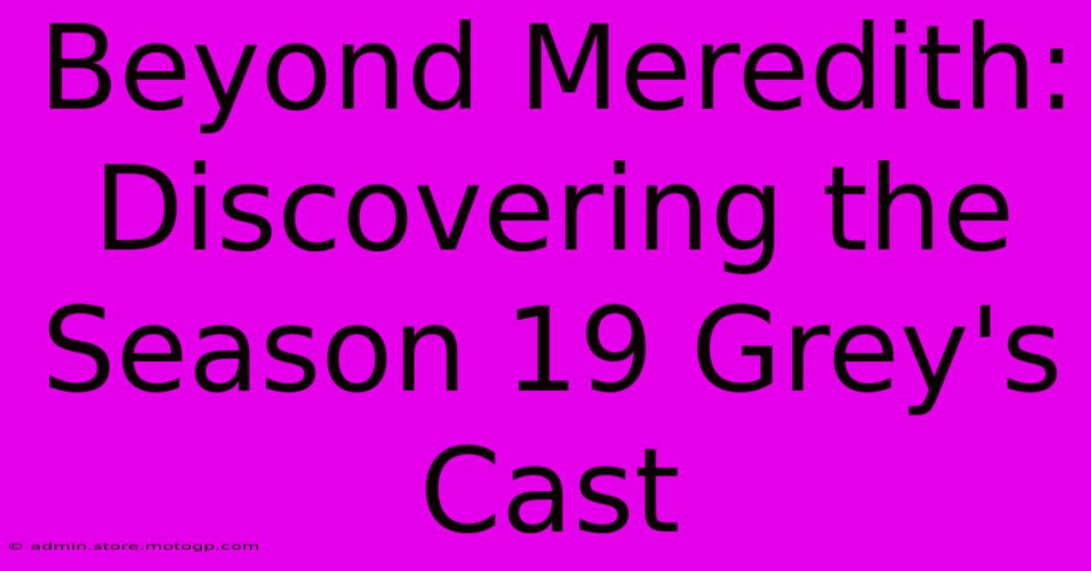 Beyond Meredith: Discovering The Season 19 Grey's Cast