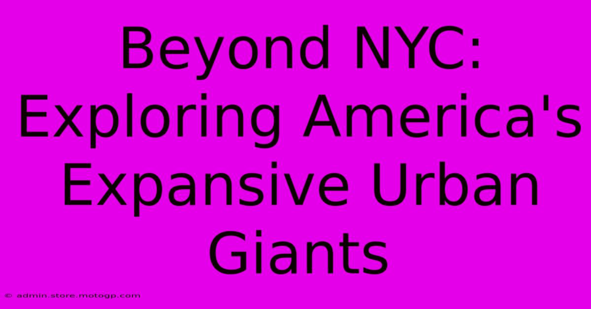 Beyond NYC: Exploring America's Expansive Urban Giants