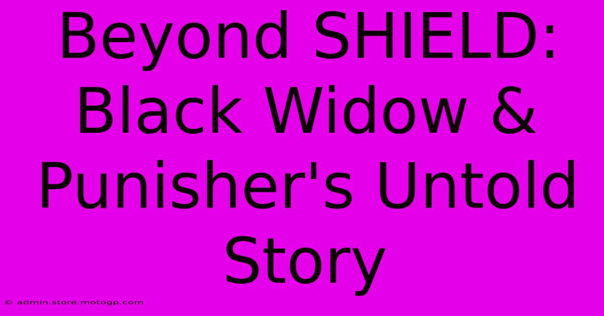 Beyond SHIELD: Black Widow & Punisher's Untold Story