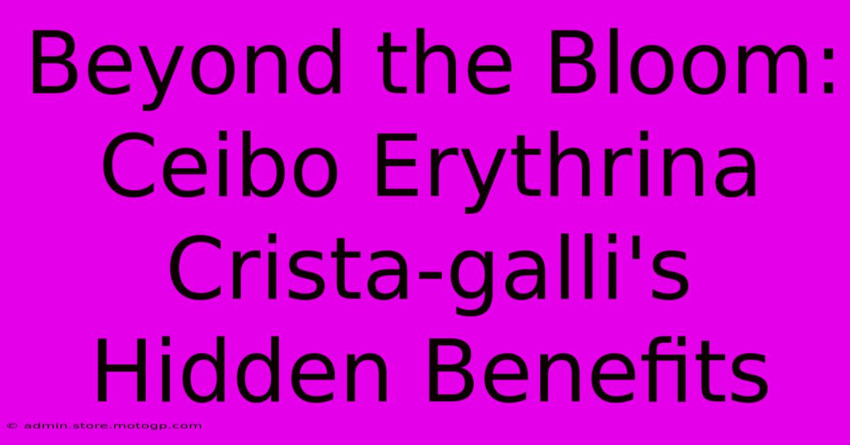 Beyond The Bloom: Ceibo Erythrina Crista-galli's Hidden Benefits