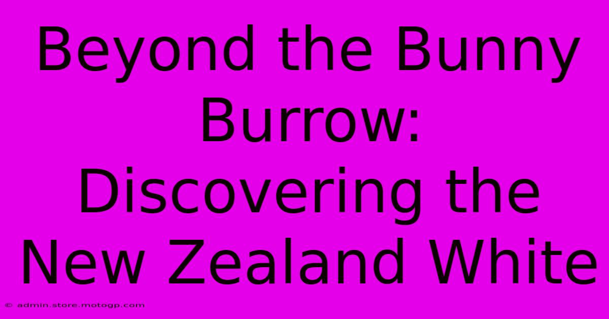 Beyond The Bunny Burrow: Discovering The New Zealand White