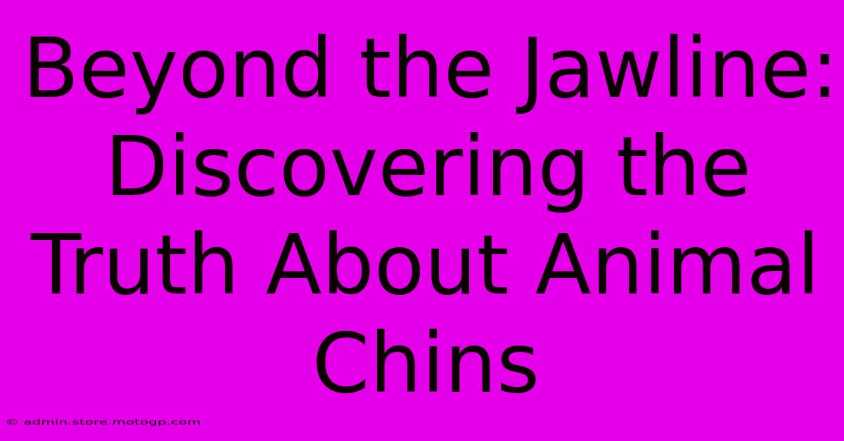 Beyond The Jawline: Discovering The Truth About Animal Chins