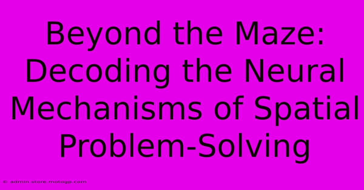 Beyond The Maze: Decoding The Neural Mechanisms Of Spatial Problem-Solving