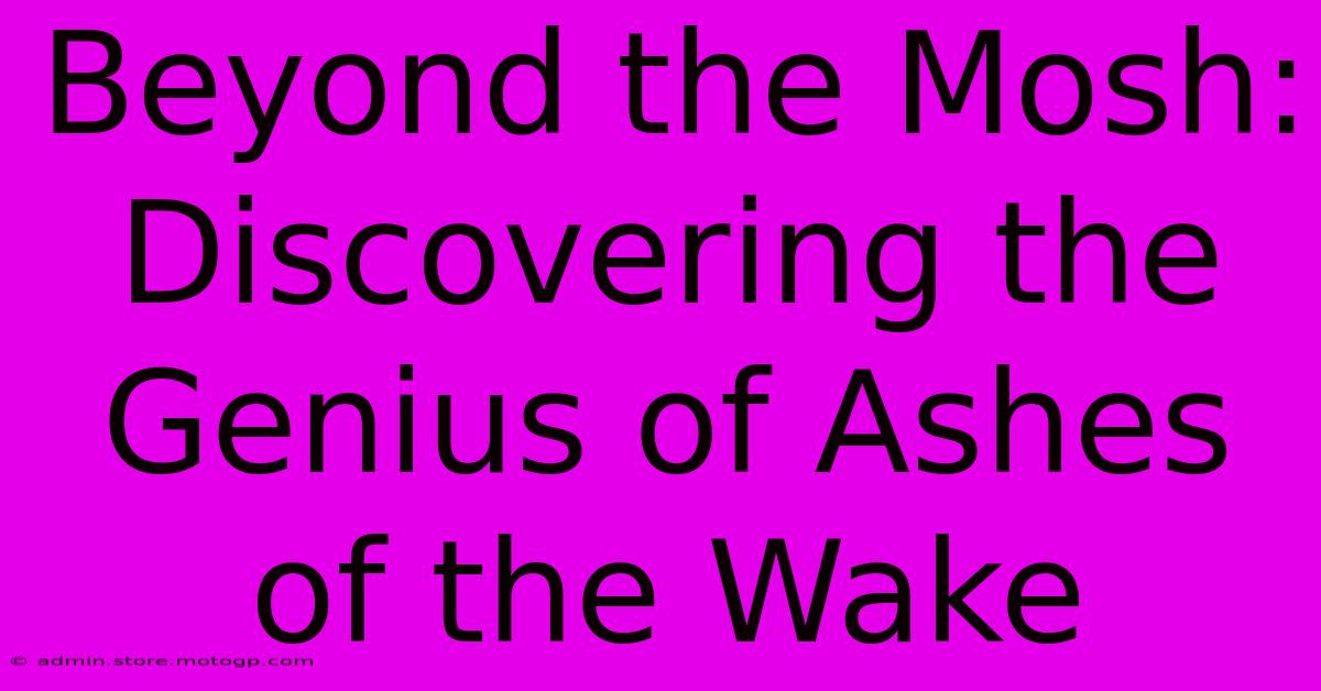 Beyond The Mosh: Discovering The Genius Of Ashes Of The Wake