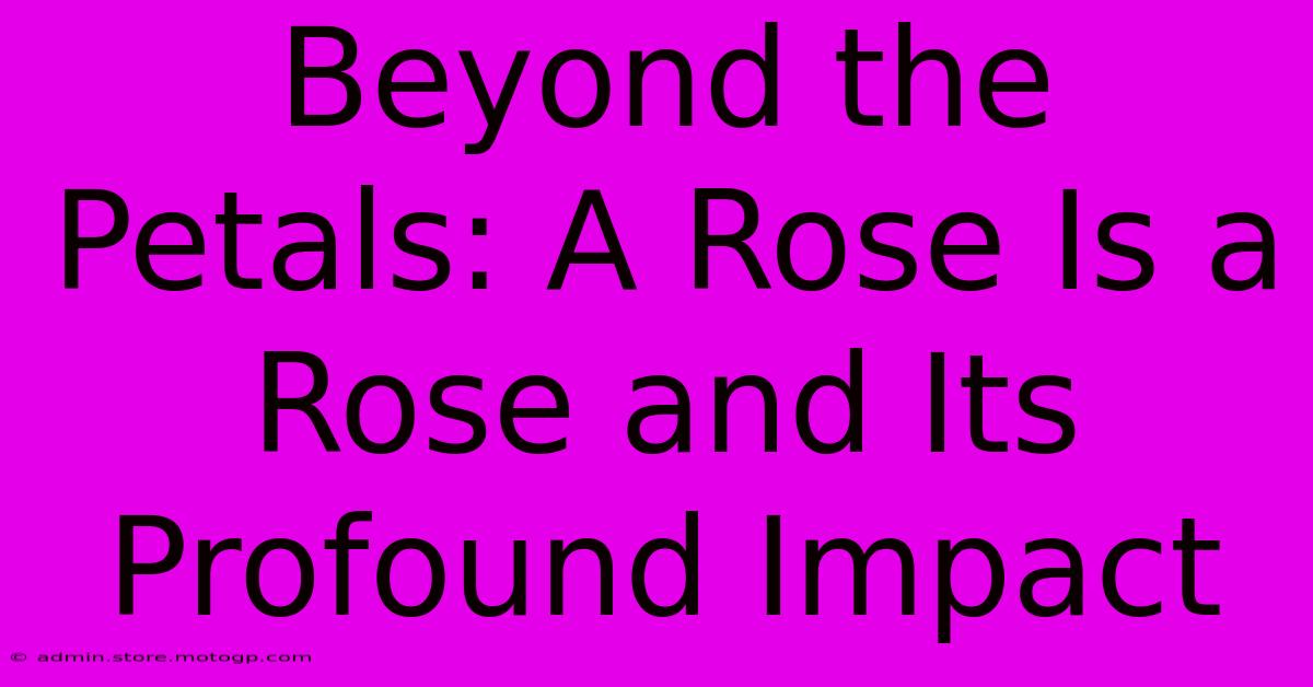 Beyond The Petals: A Rose Is A Rose And Its Profound Impact