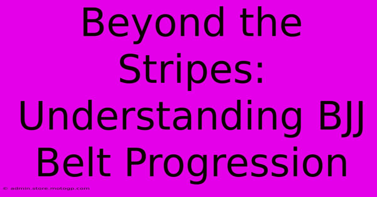 Beyond The Stripes: Understanding BJJ Belt Progression