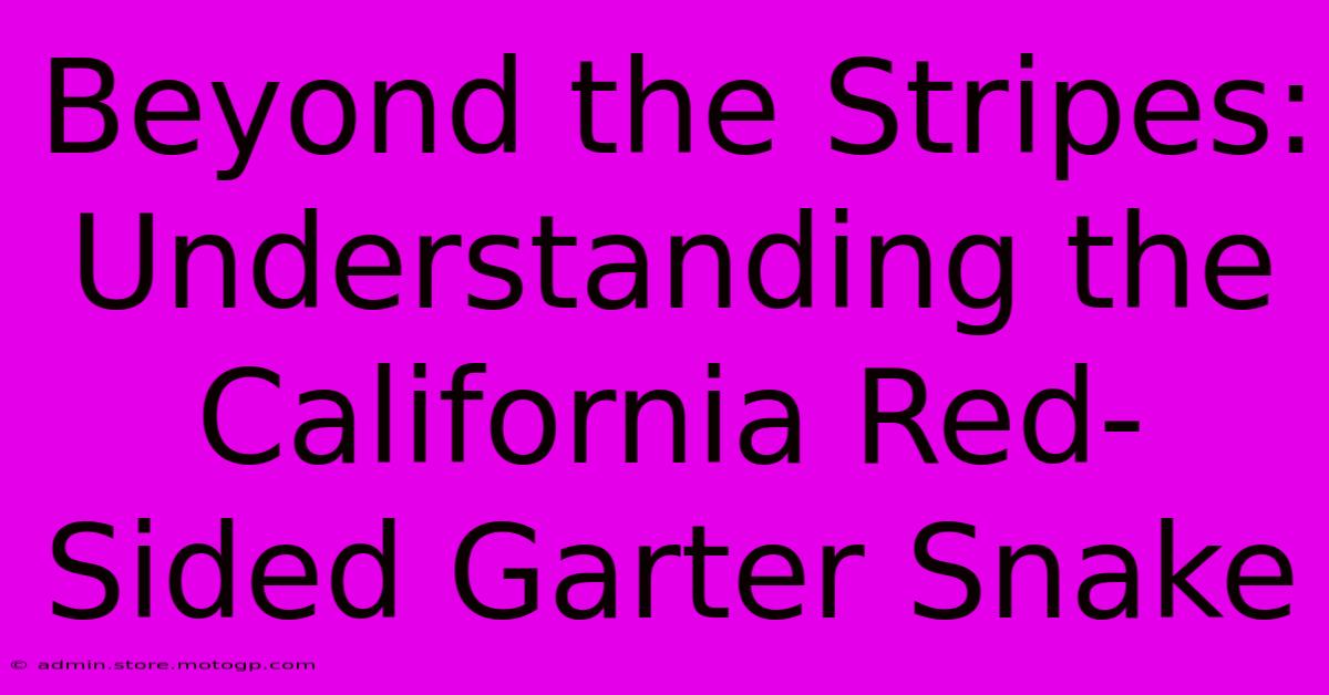 Beyond The Stripes: Understanding The California Red-Sided Garter Snake