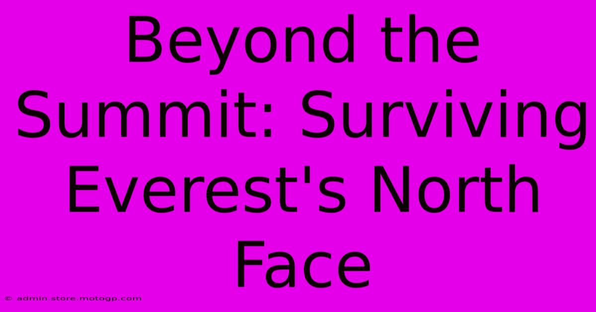 Beyond The Summit: Surviving Everest's North Face