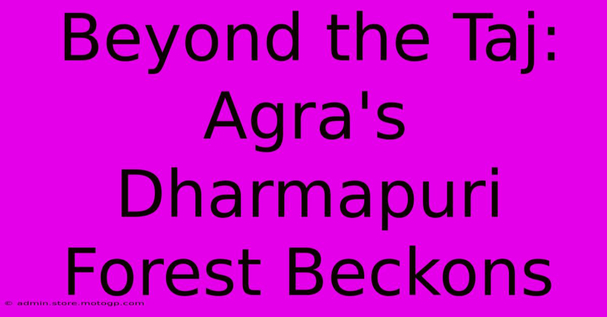 Beyond The Taj: Agra's Dharmapuri Forest Beckons