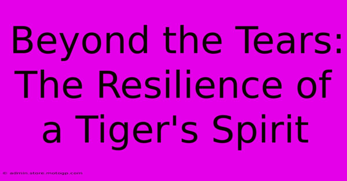 Beyond The Tears: The Resilience Of A Tiger's Spirit