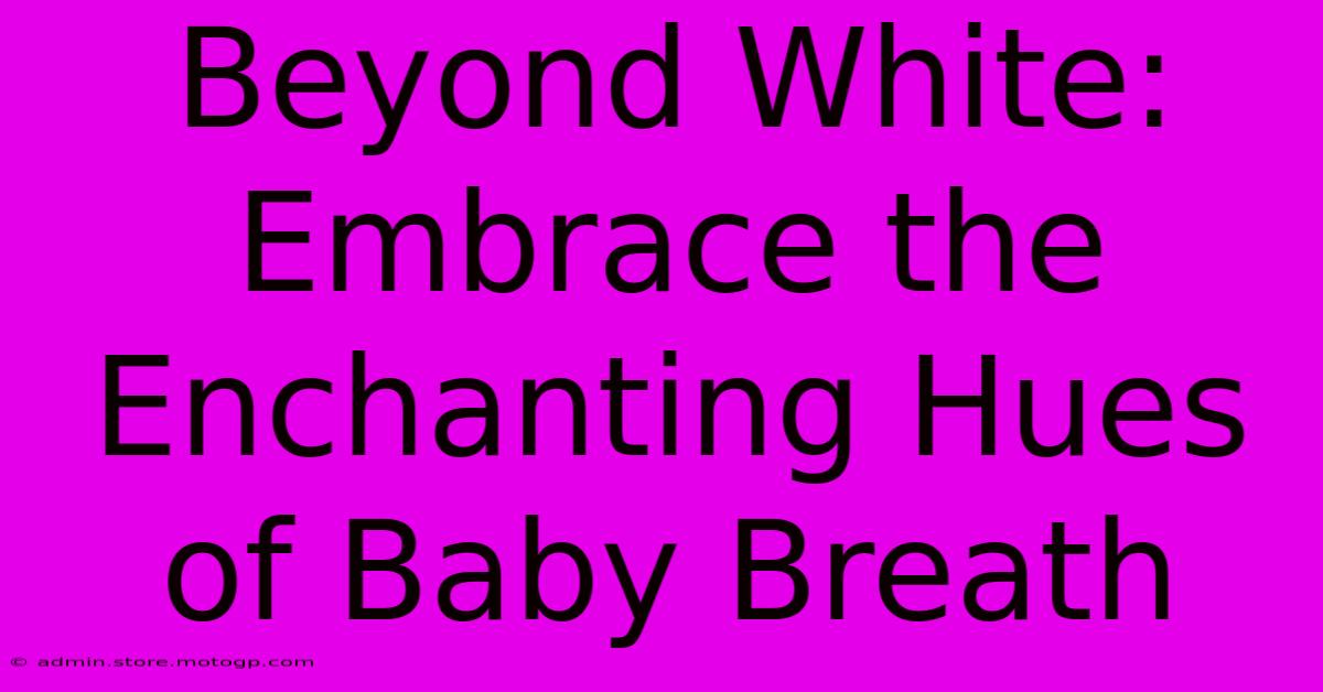 Beyond White: Embrace The Enchanting Hues Of Baby Breath