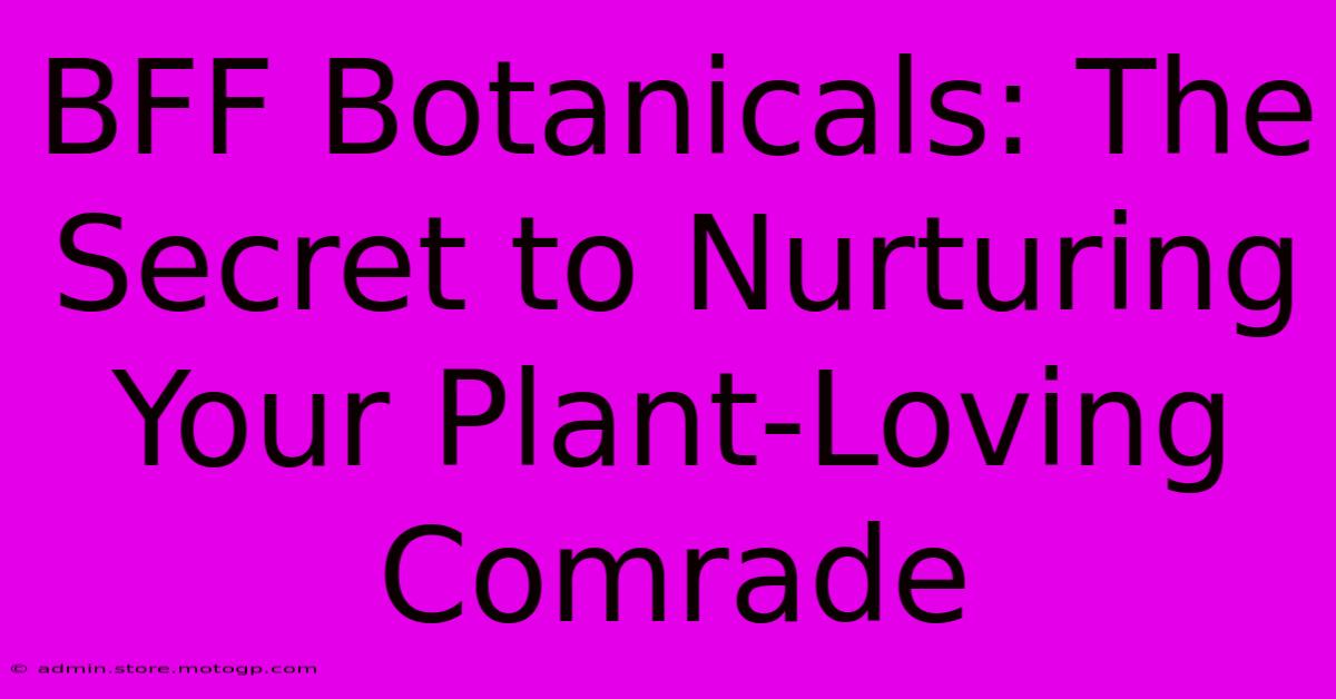 BFF Botanicals: The Secret To Nurturing Your Plant-Loving Comrade