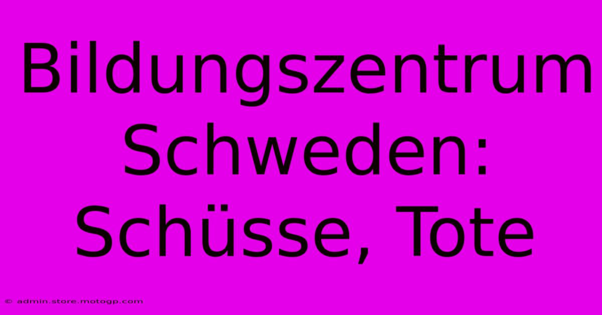 Bildungszentrum Schweden: Schüsse, Tote