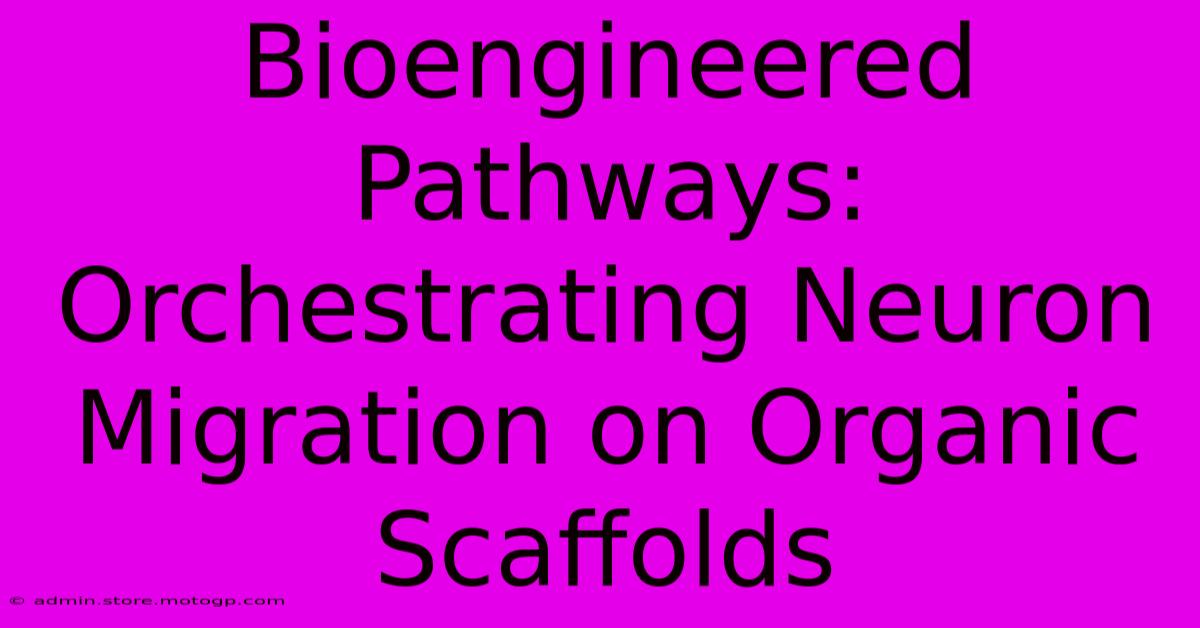 Bioengineered Pathways: Orchestrating Neuron Migration On Organic Scaffolds