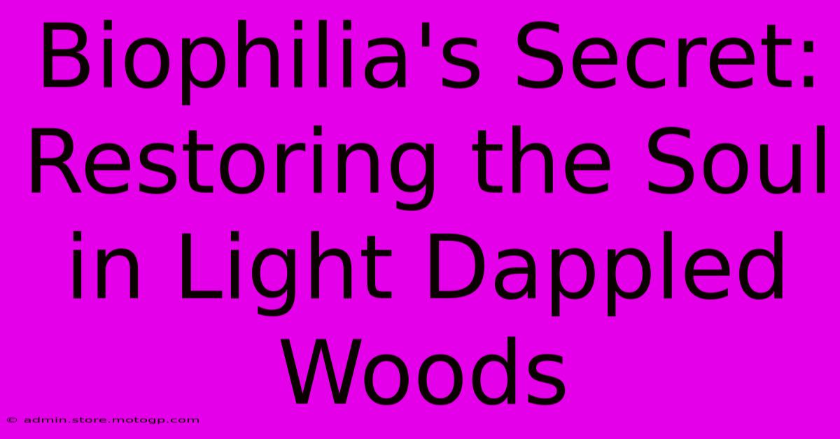 Biophilia's Secret: Restoring The Soul In Light Dappled Woods