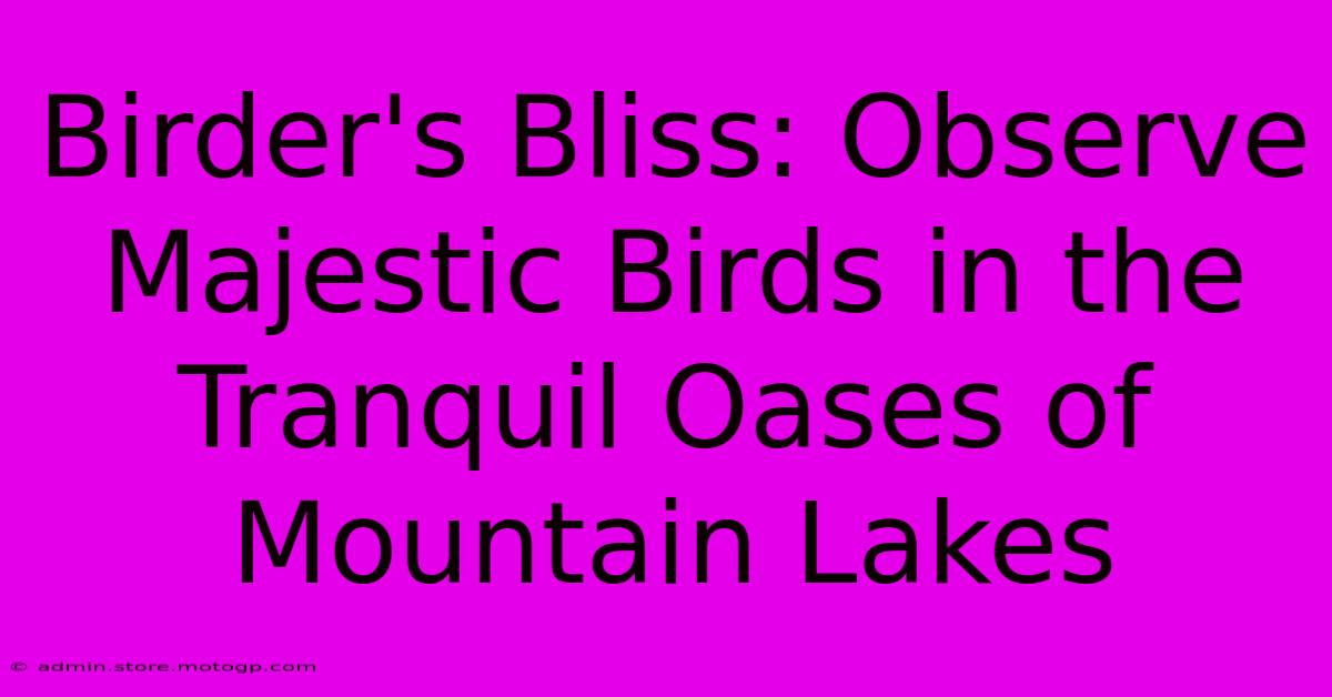 Birder's Bliss: Observe Majestic Birds In The Tranquil Oases Of Mountain Lakes