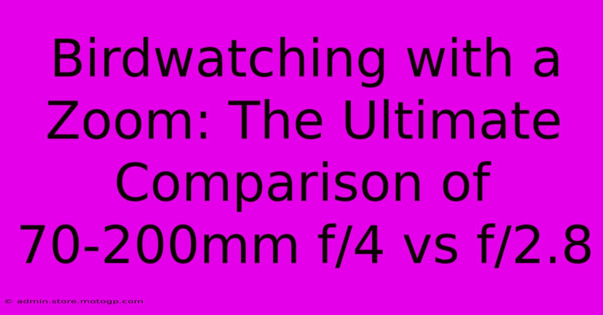 Birdwatching With A Zoom: The Ultimate Comparison Of 70-200mm F/4 Vs F/2.8