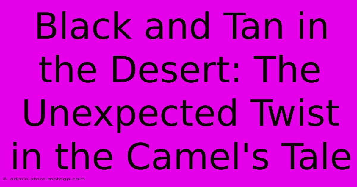 Black And Tan In The Desert: The Unexpected Twist In The Camel's Tale