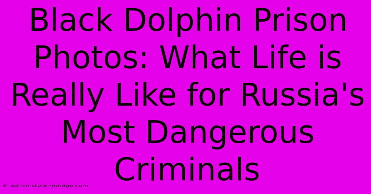 Black Dolphin Prison Photos: What Life Is Really Like For Russia's Most Dangerous Criminals