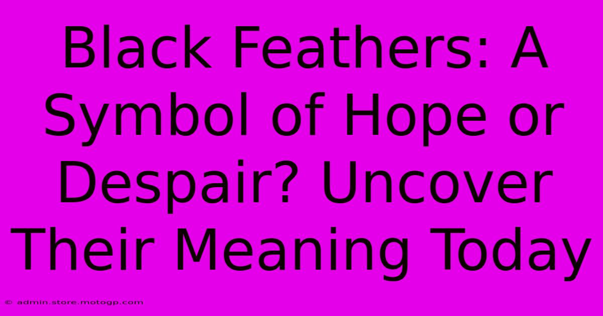 Black Feathers: A Symbol Of Hope Or Despair? Uncover Their Meaning Today