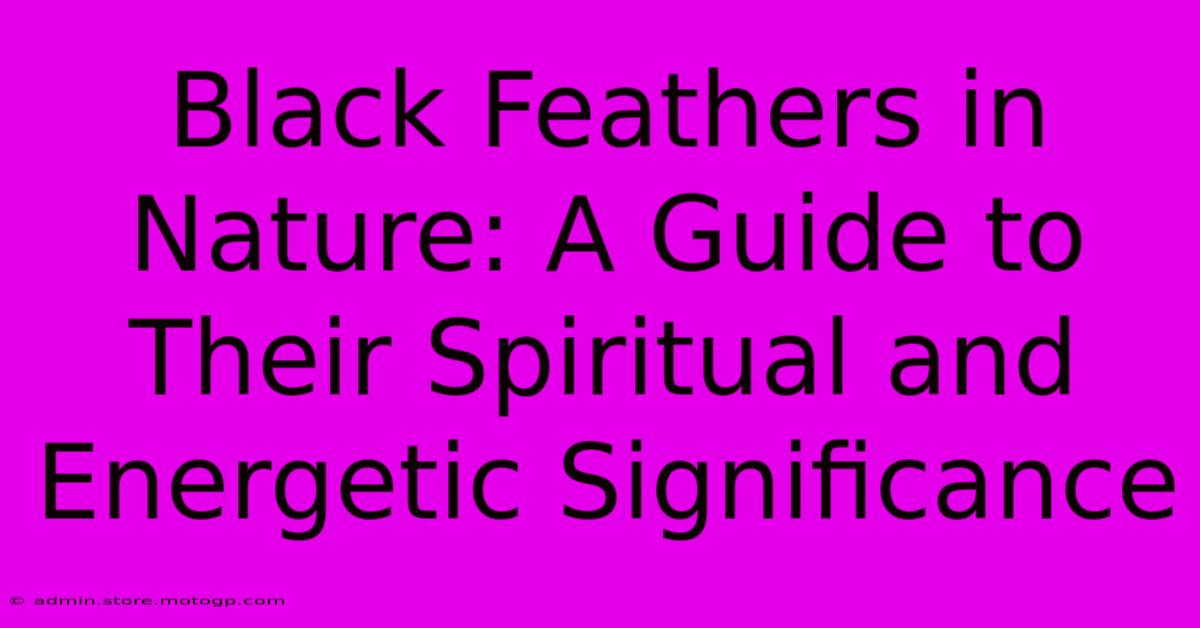 Black Feathers In Nature: A Guide To Their Spiritual And Energetic Significance