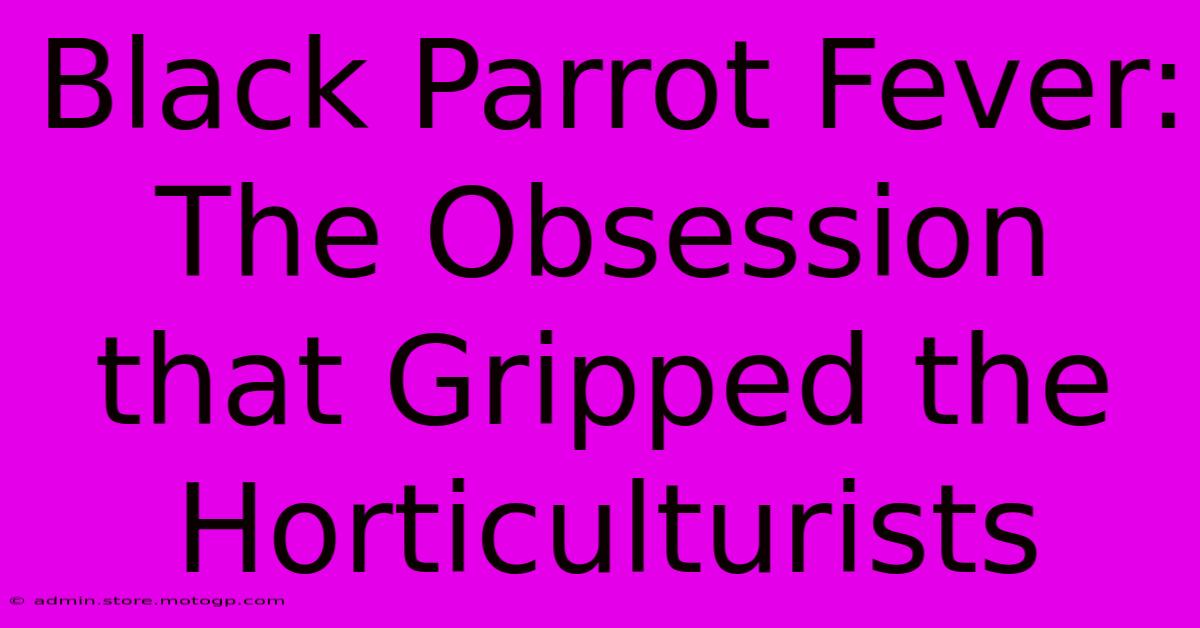 Black Parrot Fever: The Obsession That Gripped The Horticulturists