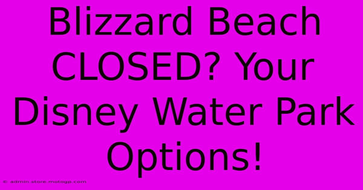 Blizzard Beach CLOSED? Your Disney Water Park Options!