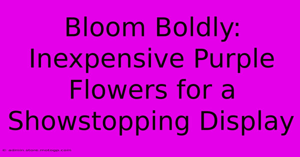 Bloom Boldly: Inexpensive Purple Flowers For A Showstopping Display