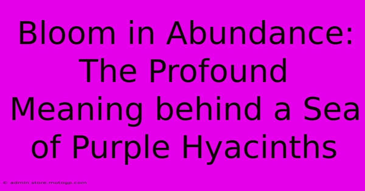 Bloom In Abundance: The Profound Meaning Behind A Sea Of Purple Hyacinths