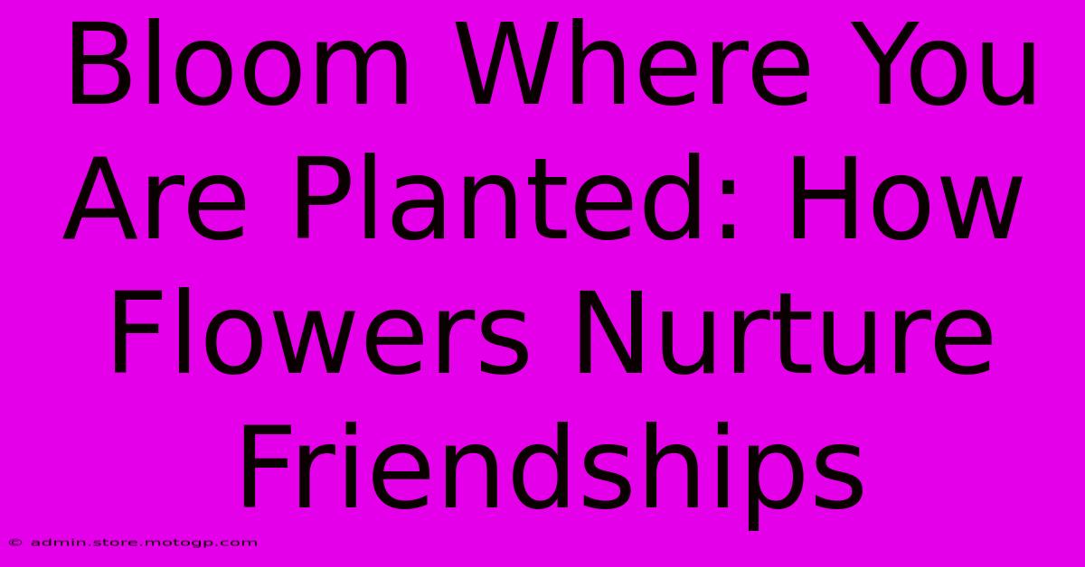 Bloom Where You Are Planted: How Flowers Nurture Friendships