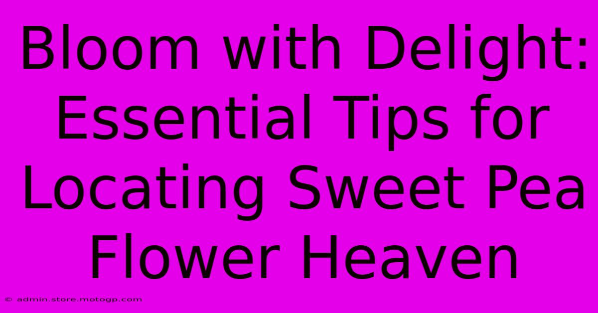 Bloom With Delight: Essential Tips For Locating Sweet Pea Flower Heaven