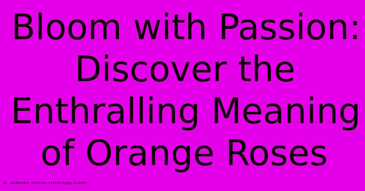 Bloom With Passion: Discover The Enthralling Meaning Of Orange Roses