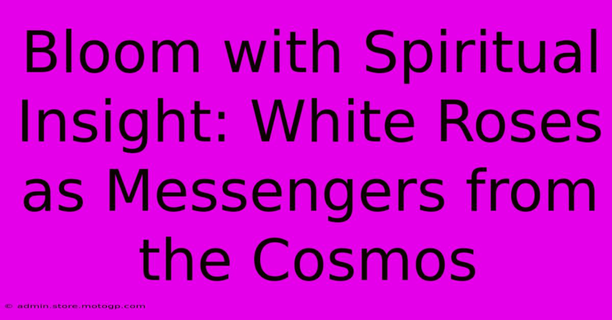 Bloom With Spiritual Insight: White Roses As Messengers From The Cosmos