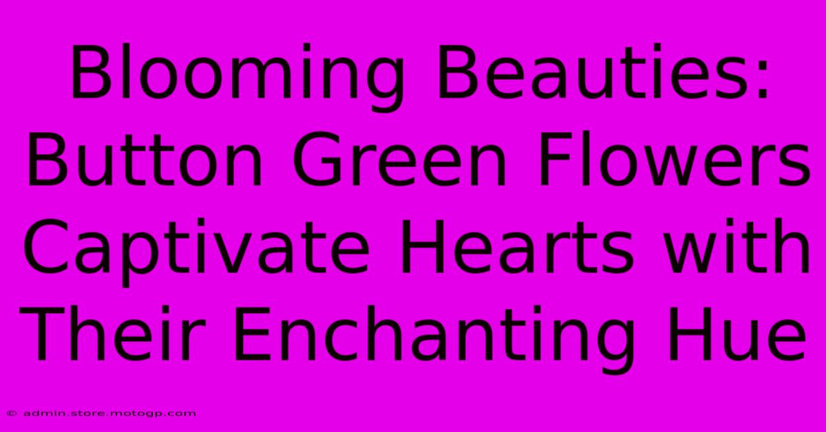 Blooming Beauties: Button Green Flowers Captivate Hearts With Their Enchanting Hue